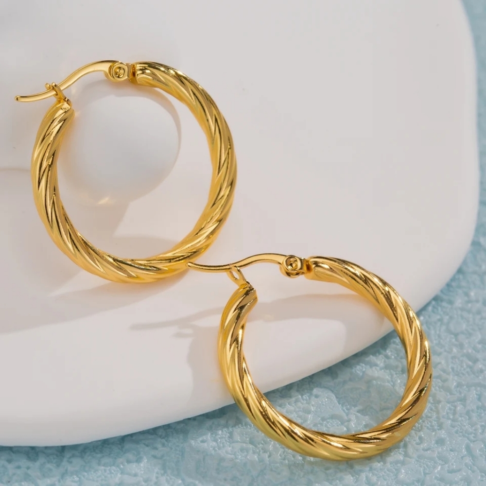 Twist hoop stainless steel gold silver earrings for women